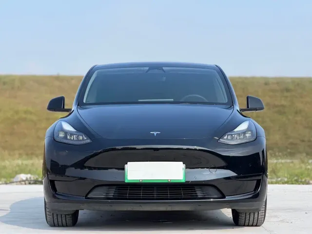 Tesla Model Y — Фото автомобиля 2