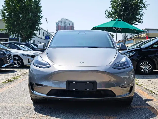 Tesla Model Y — Фото автомобиля 2