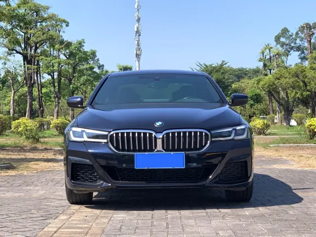BMW 5 Series — Фото автомобиля 2