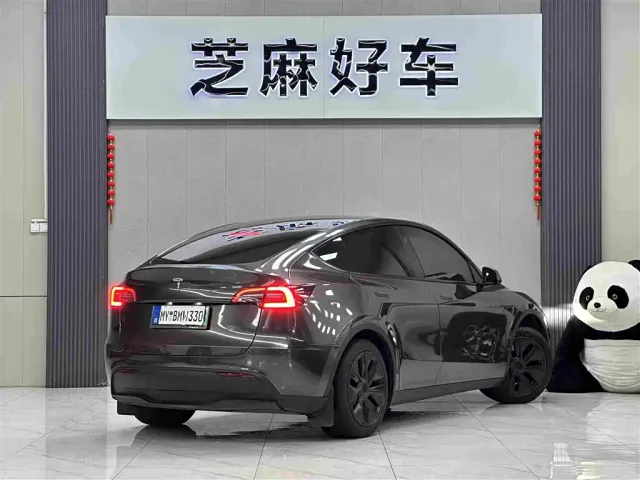 Tesla Model Y — Фото автомобиля 6