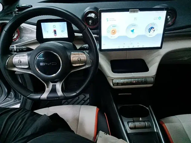 BYD Dolphin — Фото автомобиля 9