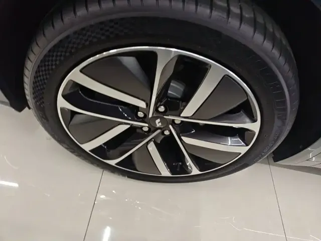 Li Auto L9 — Фото автомобиля 22