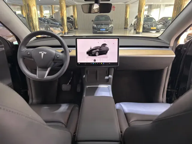 Tesla Model Y — Фото автомобиля 12