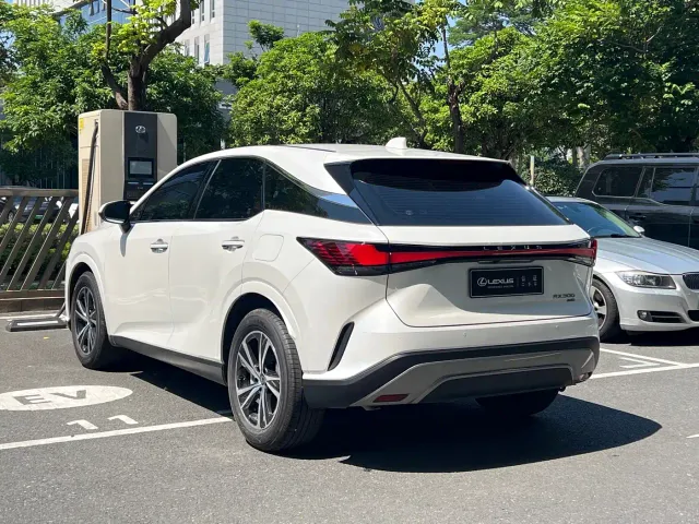 Lexus RX — Фото автомобиля 20