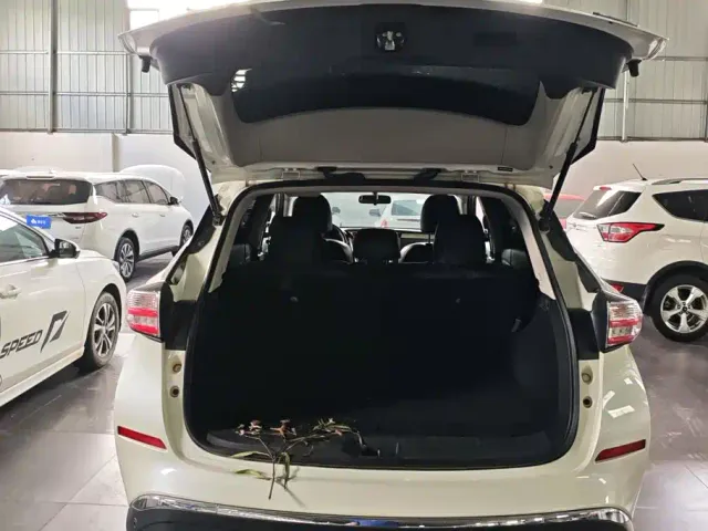 Nissan Murano — Фото автомобиля 4