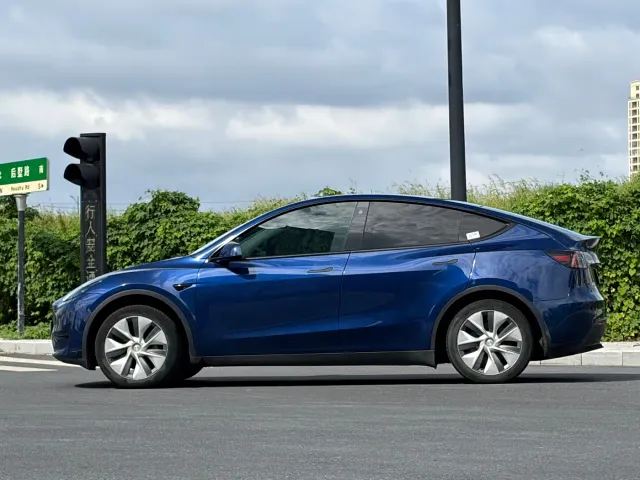 Tesla Model Y — Фото автомобиля 3
