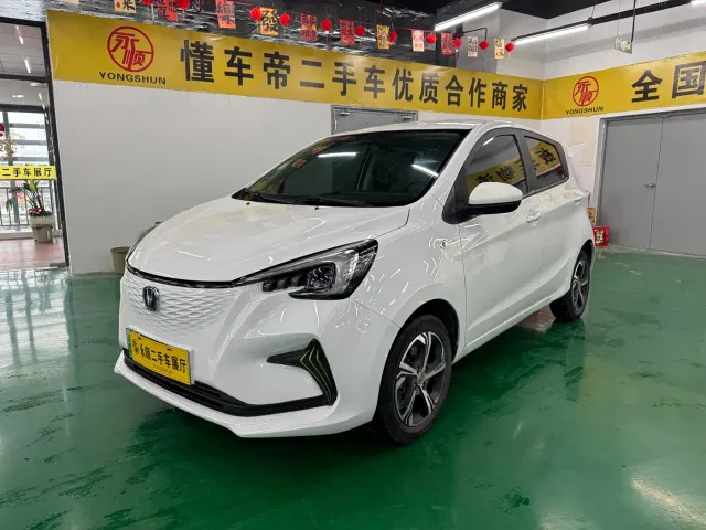 Фотография автомобиля — Changan Benben E-Star