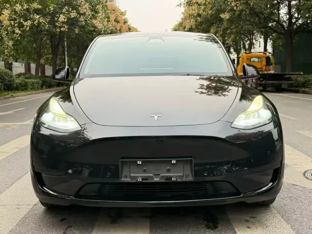 Tesla Model Y — Фото автомобиля 2