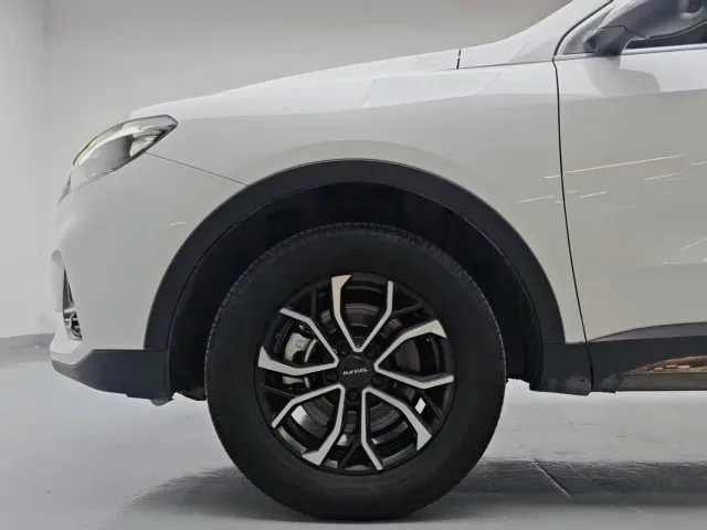 Haval H6 — Фото автомобиля 7