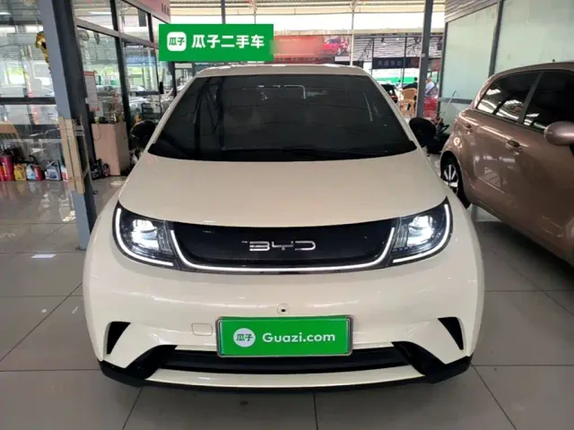 BYD Dolphin — Фото автомобиля 2