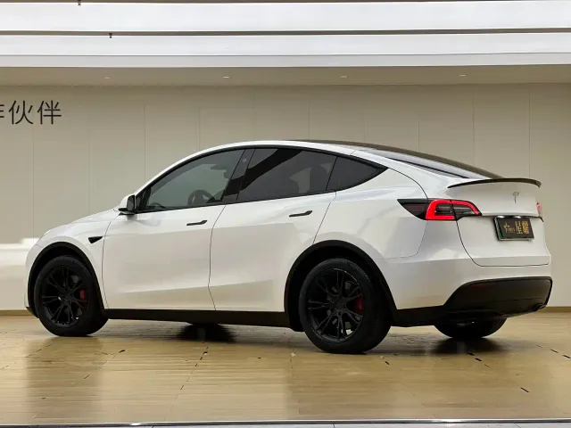 Tesla Model Y — Фото автомобиля 22