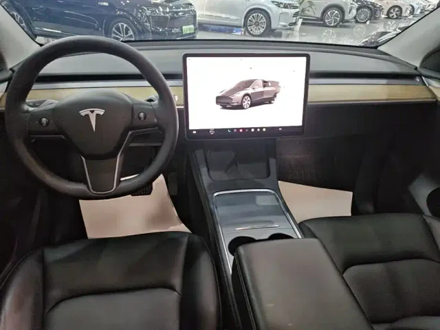 Tesla Model Y — Фото автомобиля 9