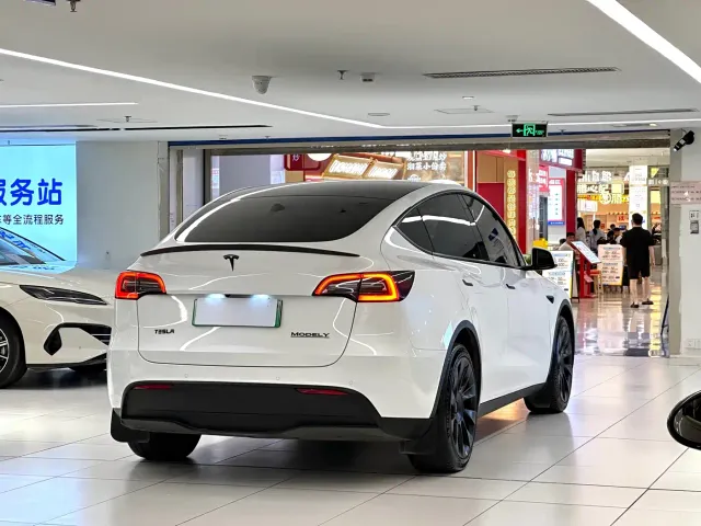 Tesla Model Y — Фото автомобиля 7