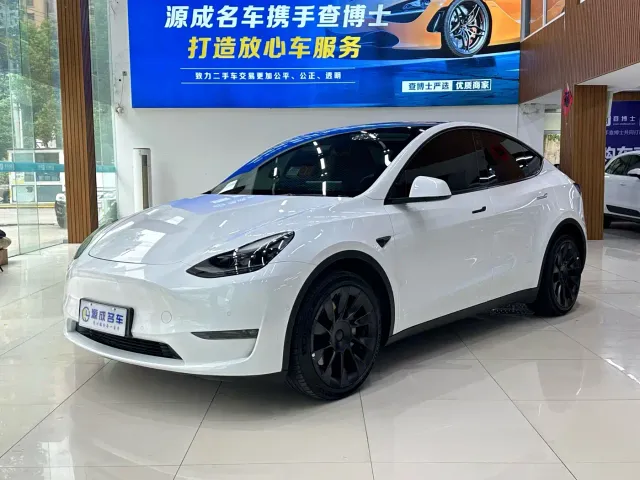 Tesla Model Y — Фото автомобиля 2