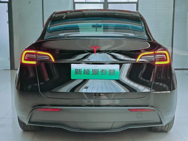Tesla Model Y — Фото автомобиля 4