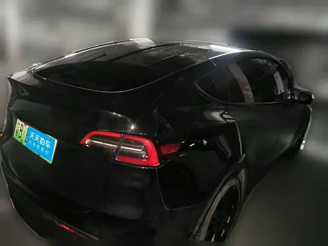 Tesla Model Y — Фото автомобиля 2
