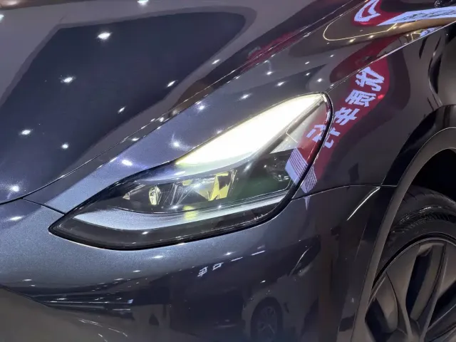 Tesla Model Y — Фото автомобиля 3