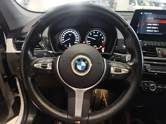 BMW X1 — Фото автомобиля 10