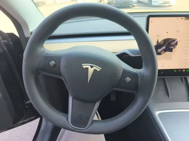 Tesla Model Y — Фото автомобиля 10