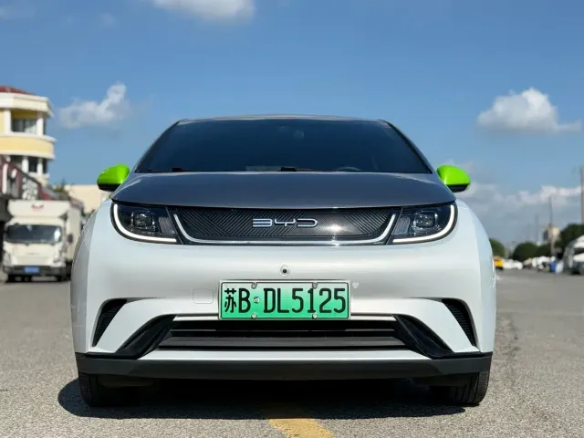 BYD Dolphin — Фото автомобиля 2