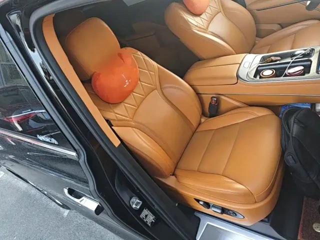 Wey Alpine — Фото автомобиля 24