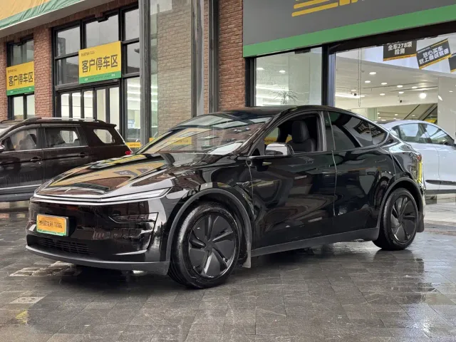 Tesla Model Y — Фото автомобиля 3