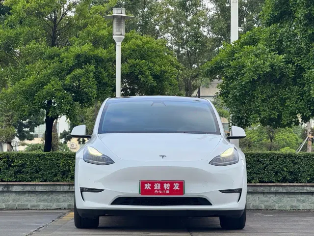 Tesla Model Y — Фото автомобиля 2