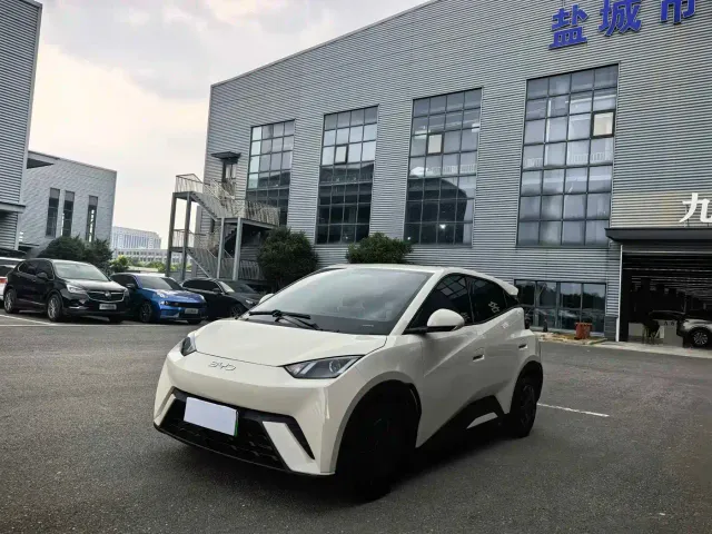 Фотография автомобиля — BYD Seagull