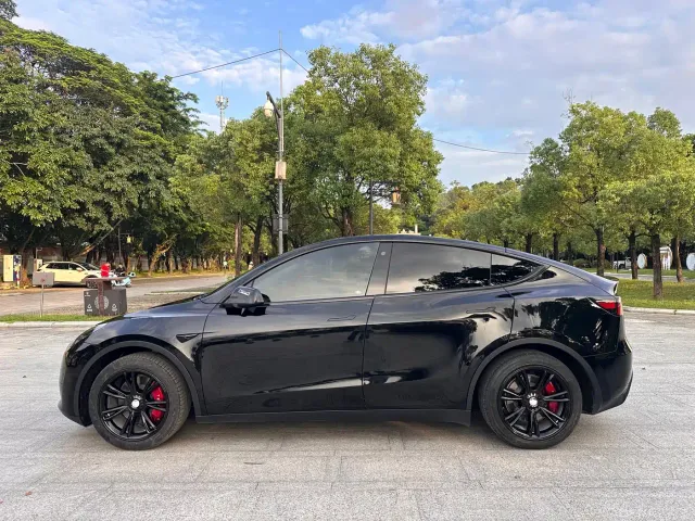 Tesla Model Y — Фото автомобиля 4