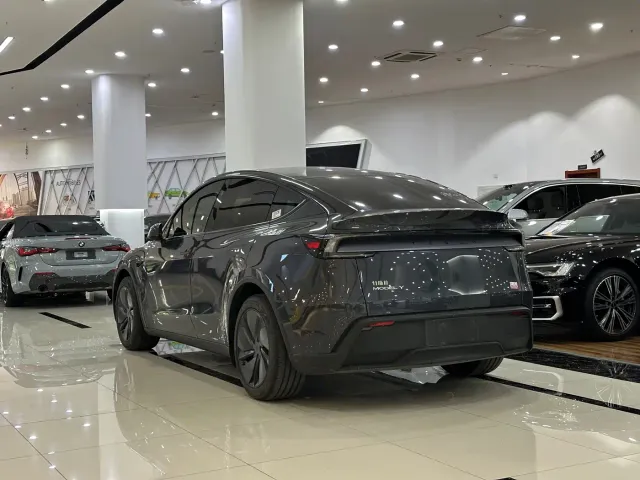 Tesla Model Y — Фото автомобиля 11