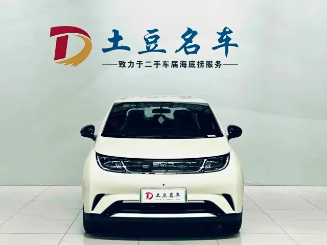 BYD Dolphin — Фото автомобиля 2