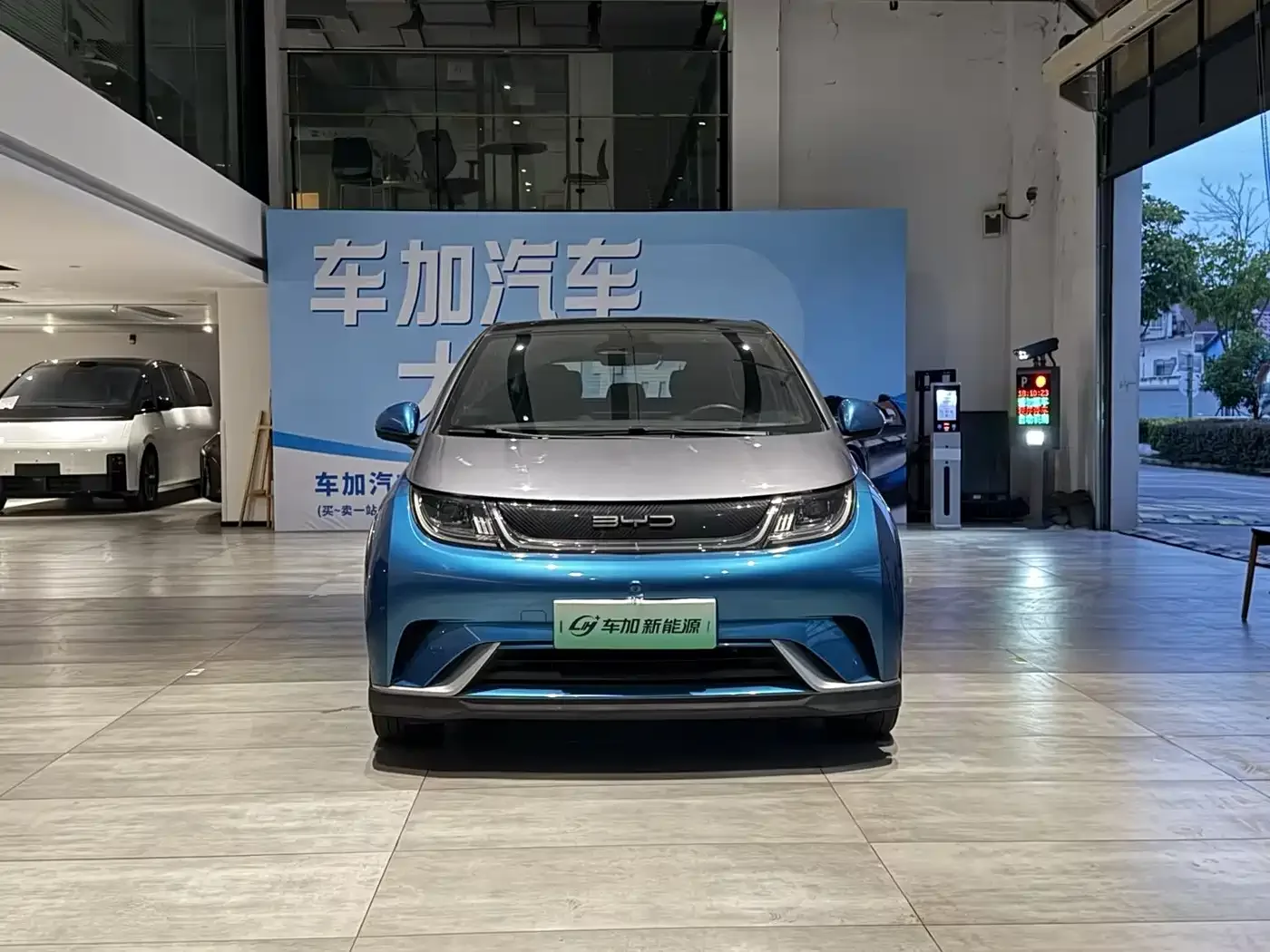 BYD Dolphin 2021 401km Knight Edition — Фото автомобиля 2