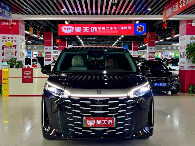 BYD Xia — Фото автомобиля 2
