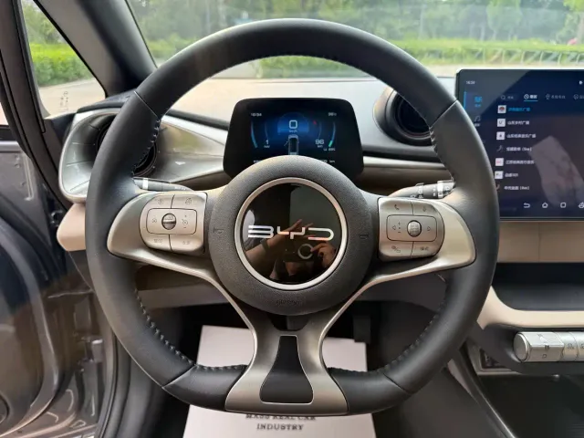 BYD Dolphin — Фото автомобиля 10