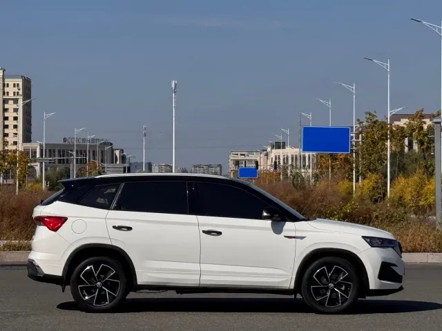 Skoda Kamiq — Фото автомобиля 8
