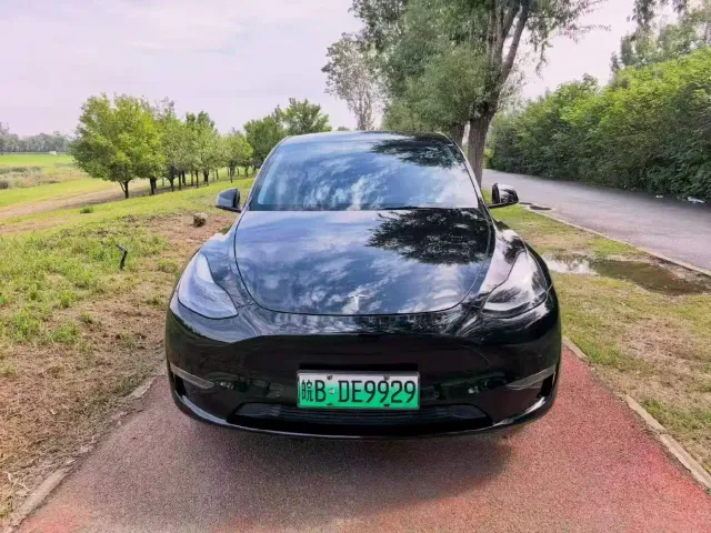 Tesla Model Y — Фото автомобиля 2