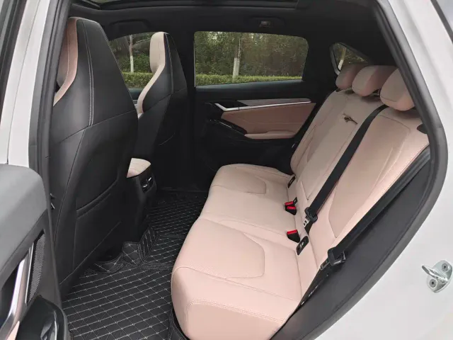 JAC Motors JAC QX PHEV — Фото автомобиля 11
