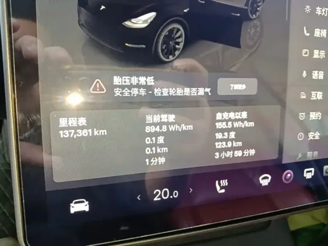 Tesla Model Y — Фото автомобиля 11