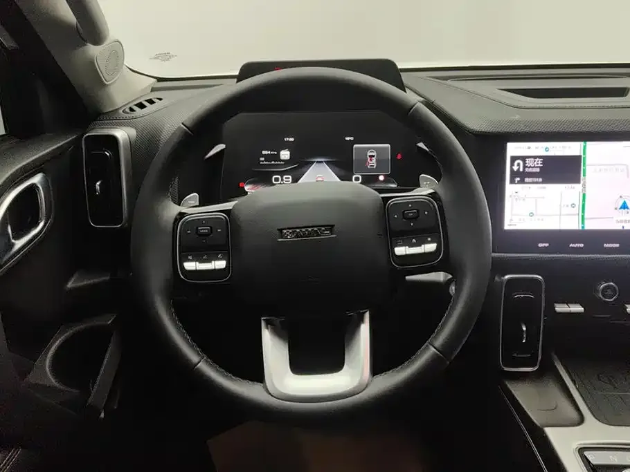 Haval Haval Big Dog 2024 2.0T DCT Chinese Rural Dog Edition — Фото автомобиля 15