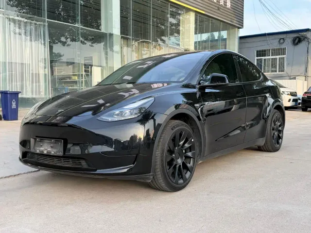 Tesla Model Y — Фото автомобиля 3