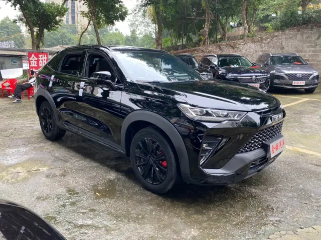 Haval H6S — Фото автомобиля 7
