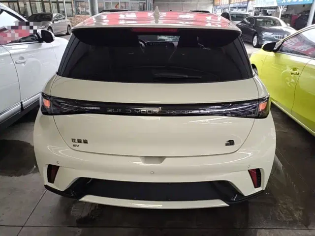 BYD Dolphin — Фото автомобиля 5