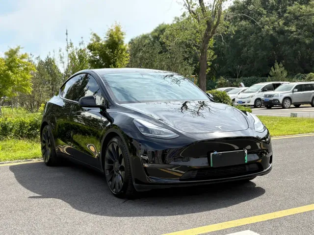 Tesla Model Y — Фото автомобиля 3
