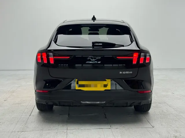 Ford Mustang Mach-E — Фото автомобиля 3