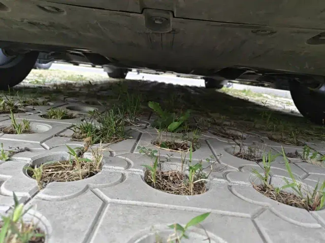 Tesla Model Y — Фото автомобиля 24