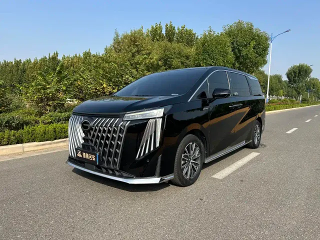 GAC Trumpchi M8 — Фото автомобиля 23