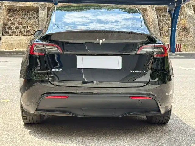 Tesla Model Y — Фото автомобиля 10