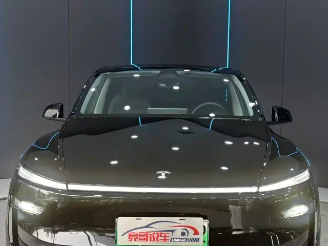 Tesla Model Y — Фото автомобиля 2