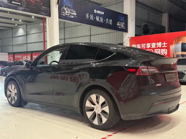 Tesla Model Y — Фото автомобиля 6