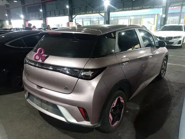 BYD Dolphin — Фото автомобиля 6